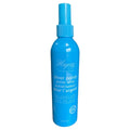 Hagerty Silver Polish Pump Spray - Prestige and Fancy -